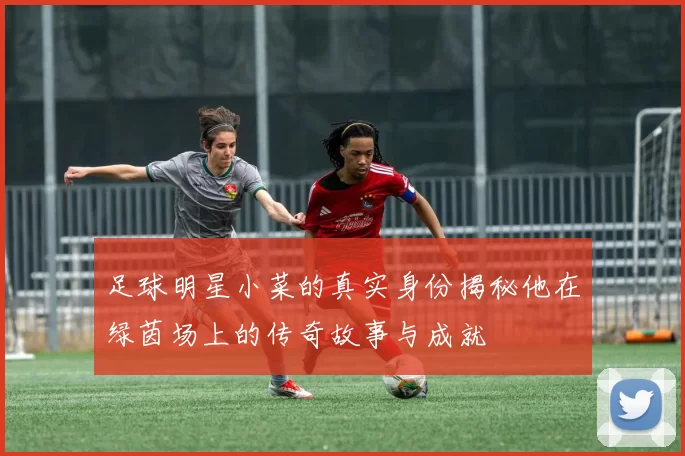 足球明星小菜的真实身份揭秘他在绿茵场上的传奇故事与成就