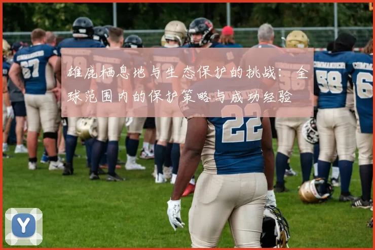 雄鹿栖息地与生态保护的挑战：全球范围内的保护策略与成功经验