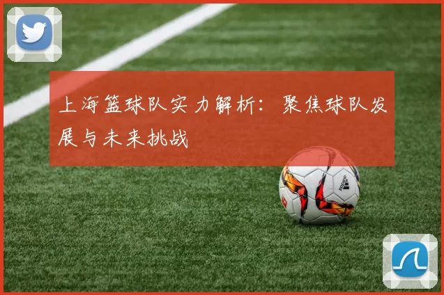上海篮球队实力解析：聚焦球队发展与未来挑战