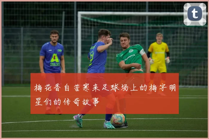 梅花香自苦寒来足球场上的梅字明星们的传奇故事