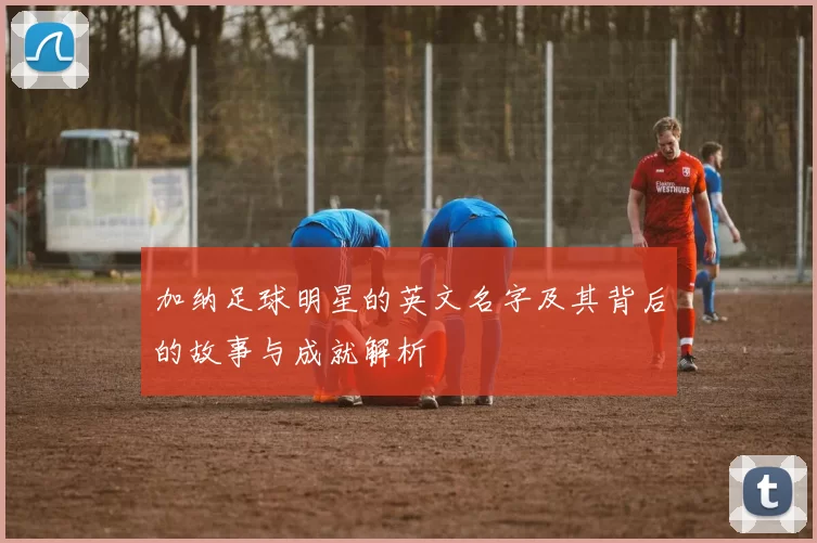 加纳足球明星的英文名字及其背后的故事与成就解析