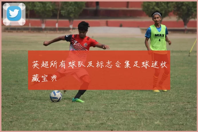 英超所有球队及标志合集足球迷收藏宝典