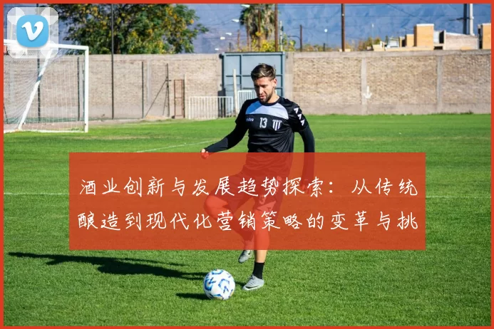 酒业创新与发展趋势探索：从传统酿造到现代化营销策略的变革与挑战