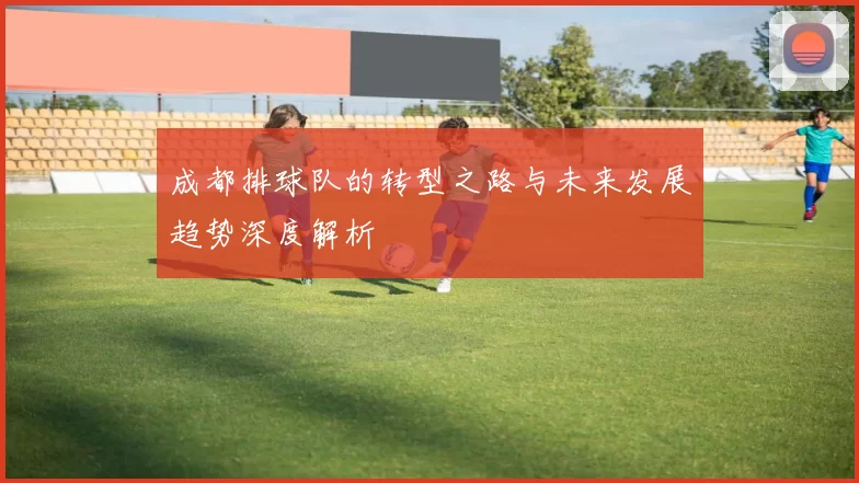 成都排球队的转型之路与未来发展趋势深度解析