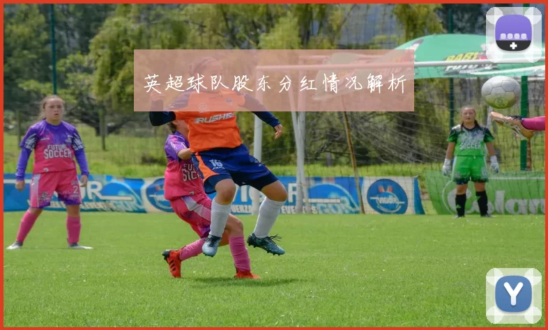 英超球队股东分红情况解析