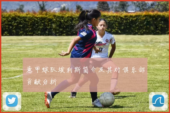 意甲球队埃利斯简介及其对俱乐部贡献分析