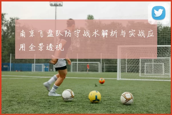 南京飞盘队防守战术解析与实战应用全景透视