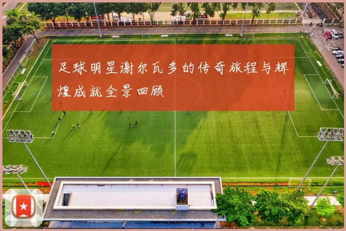 足球明星谢尔瓦多的传奇旅程与辉煌成就全景回顾