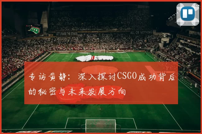 专访黄静：深入探讨CSGO成功背后的秘密与未来发展方向