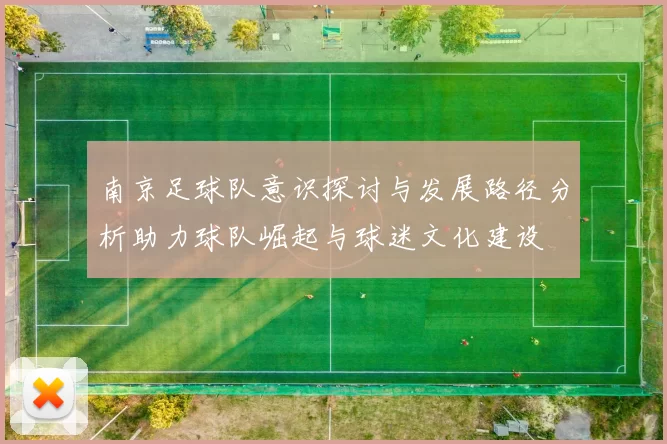 南京足球队意识探讨与发展路径分析助力球队崛起与球迷文化建设