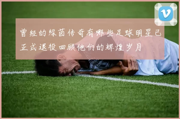 曾经的绿茵传奇有哪些足球明星已正式退役回顾他们的辉煌岁月