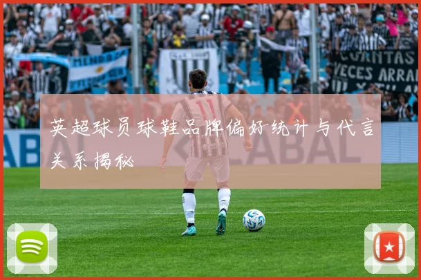 英超球员球鞋品牌偏好统计与代言关系揭秘