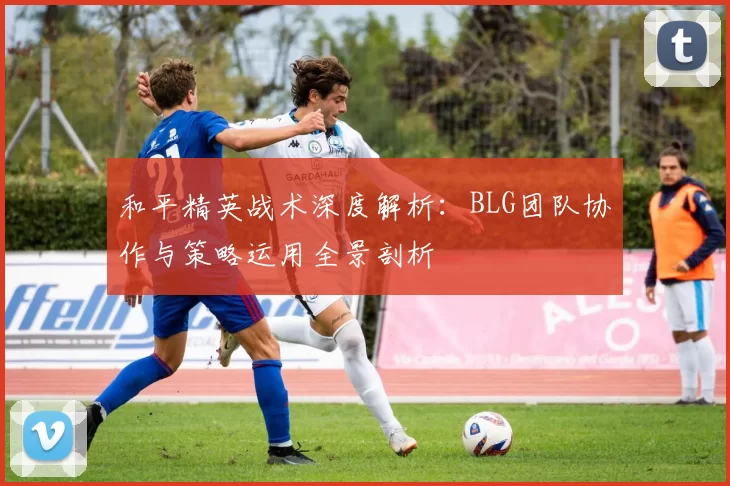 和平精英战术深度解析：BLG团队协作与策略运用全景剖析