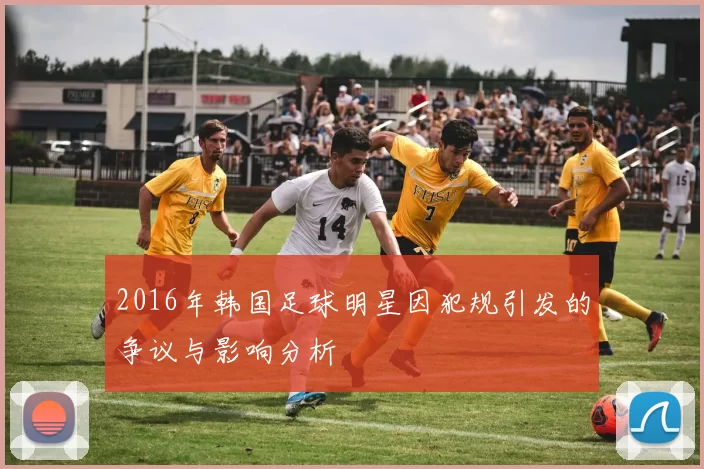 2016年韩国足球明星因犯规引发的争议与影响分析